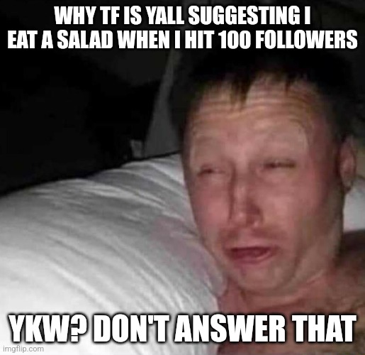 Sleepy guy | WHY TF IS YALL SUGGESTING I EAT A SALAD WHEN I HIT 100 FOLLOWERS; YKW? DON'T ANSWER THAT | image tagged in sleepy guy | made w/ Imgflip meme maker