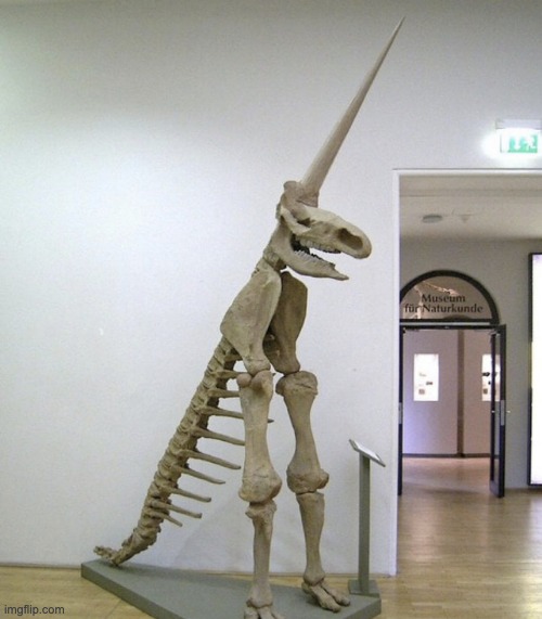 this the kind of characters y'all simp for | made w/ Imgflip meme maker