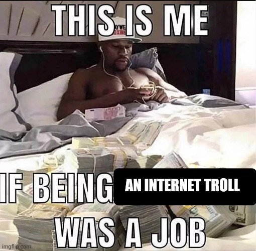 Internet troll | AN INTERNET TROLL | image tagged in this is me if being x was a job | made w/ Imgflip meme maker