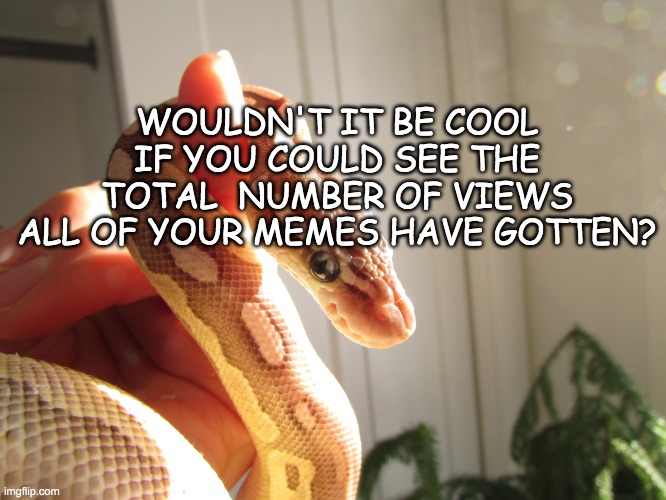 sunshine snek | WOULDN'T IT BE COOL IF YOU COULD SEE THE TOTAL  NUMBER OF VIEWS ALL OF YOUR MEMES HAVE GOTTEN? | image tagged in sunshine snek | made w/ Imgflip meme maker