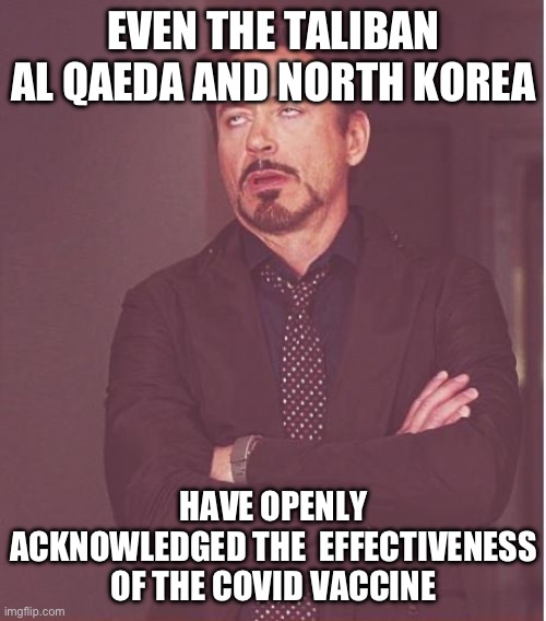 Face You Make Robert Downey Jr Meme | EVEN THE TALIBAN AL QAEDA AND NORTH KOREA HAVE OPENLY ACKNOWLEDGED THE  EFFECTIVENESS OF THE COVID VACCINE | image tagged in memes,face you make robert downey jr | made w/ Imgflip meme maker