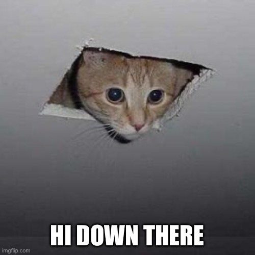 Ceiling Cat | HI DOWN THERE | image tagged in memes,ceiling cat | made w/ Imgflip meme maker