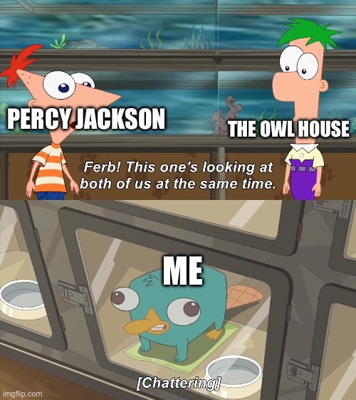 phineas and ferb | THE OWL HOUSE; PERCY JACKSON; ME | image tagged in phineas and ferb | made w/ Imgflip meme maker
