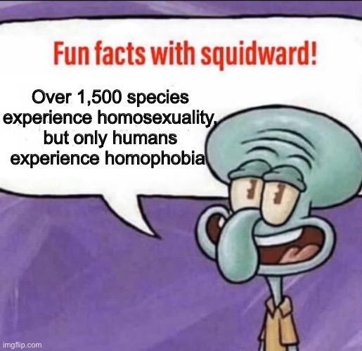 What’s “unnatural” now? | Over 1,500 species experience homosexuality, but only humans experience homophobia | image tagged in fun facts with squidward | made w/ Imgflip meme maker