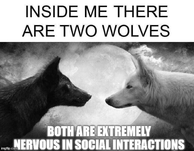 Inside me there are two wolves | BOTH ARE EXTREMELY NERVOUS IN SOCIAL INTERACTIONS | image tagged in inside me there are two wolves | made w/ Imgflip meme maker