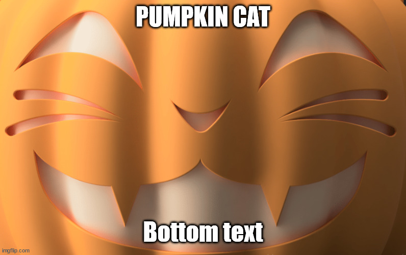 Pumpkin cat | PUMPKIN CAT; Bottom text | image tagged in cat | made w/ Imgflip meme maker