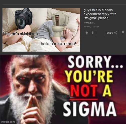 image tagged in sorry you re not a sigma | made w/ Imgflip meme maker