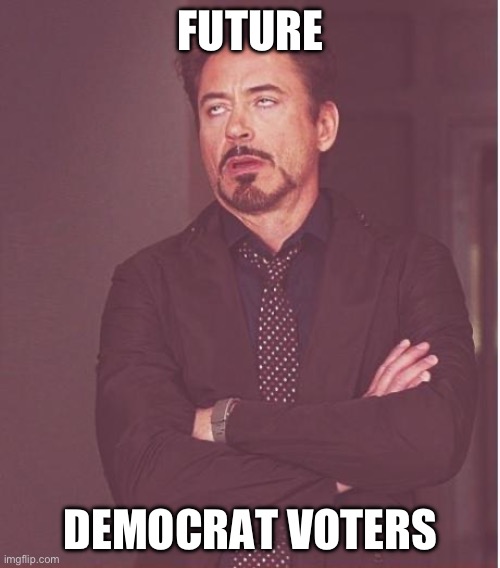 Face You Make Robert Downey Jr Meme | FUTURE DEMOCRAT VOTERS | image tagged in memes,face you make robert downey jr | made w/ Imgflip meme maker