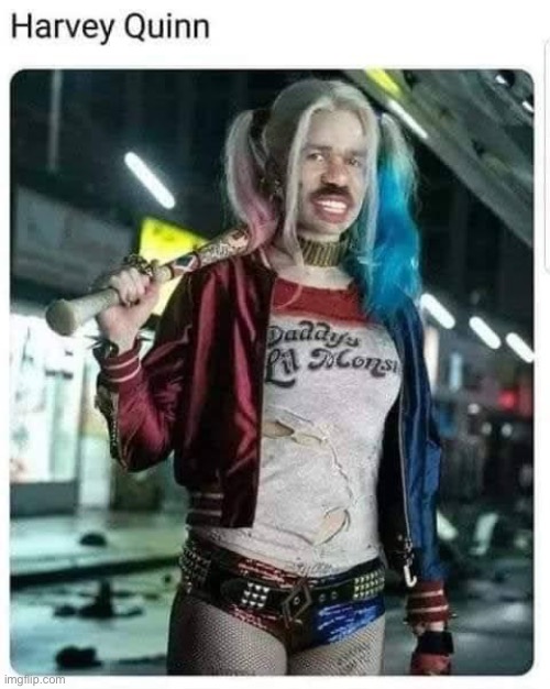 Steve Quinn | image tagged in harley quinn,steve harvey | made w/ Imgflip meme maker