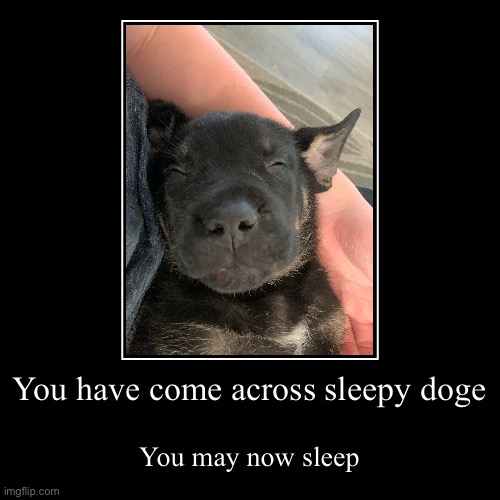 You have come across sleepy doge | You may now sleep | image tagged in funny,demotivationals | made w/ Imgflip demotivational maker