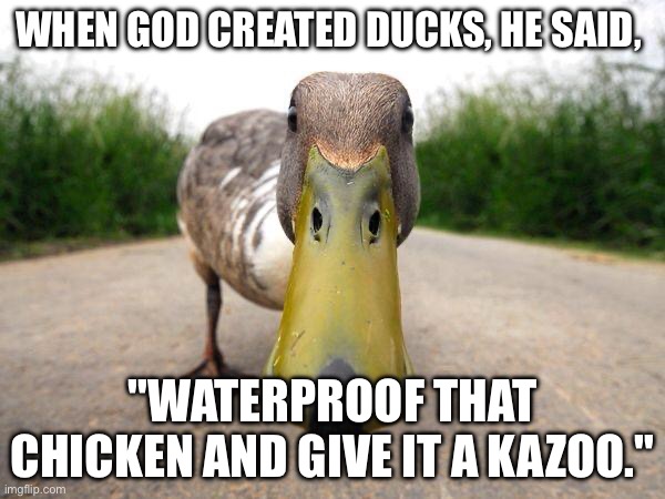Duck | WHEN GOD CREATED DUCKS, HE SAID, "WATERPROOF THAT CHICKEN AND GIVE IT A KAZOO." | image tagged in duck | made w/ Imgflip meme maker