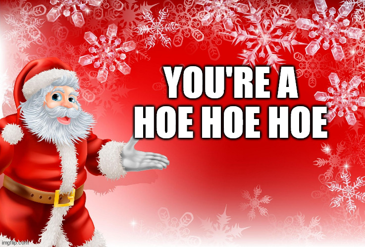 santa | YOU'RE A HOE HOE HOE | image tagged in christmas santa blank | made w/ Imgflip meme maker