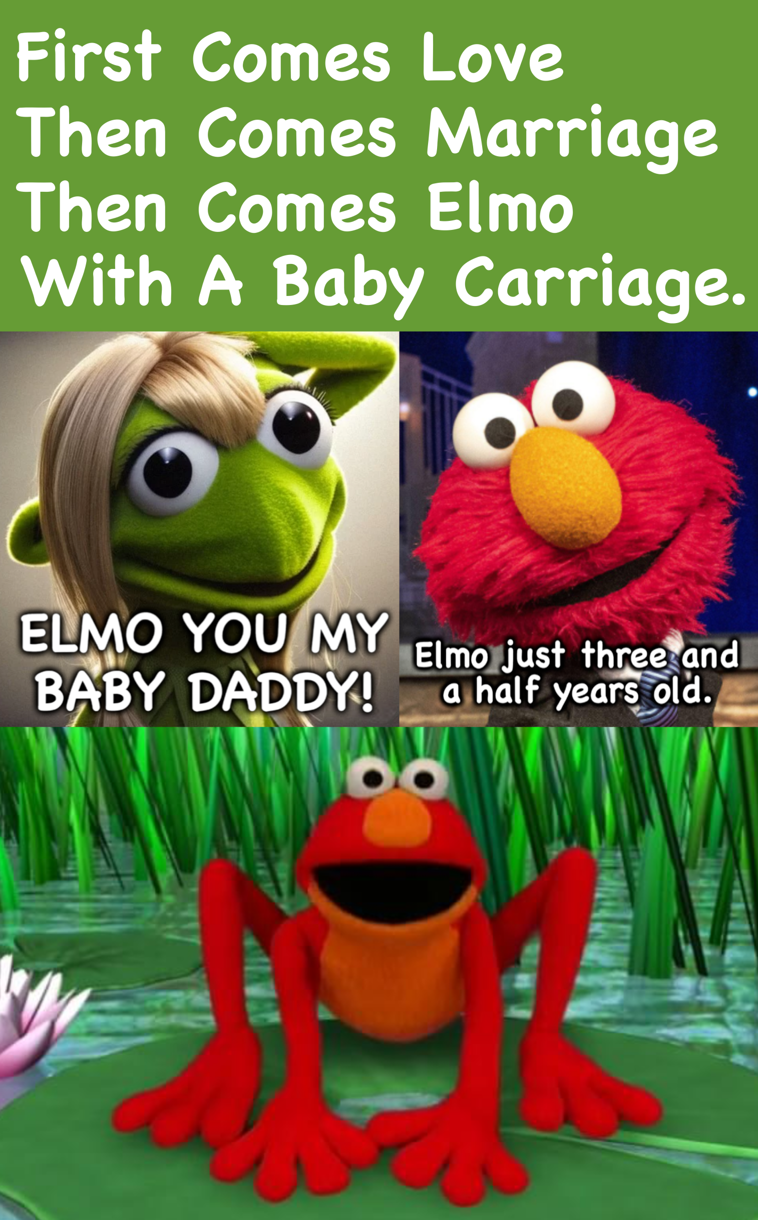 Elmo Leap Year Meme Blank Meme Template