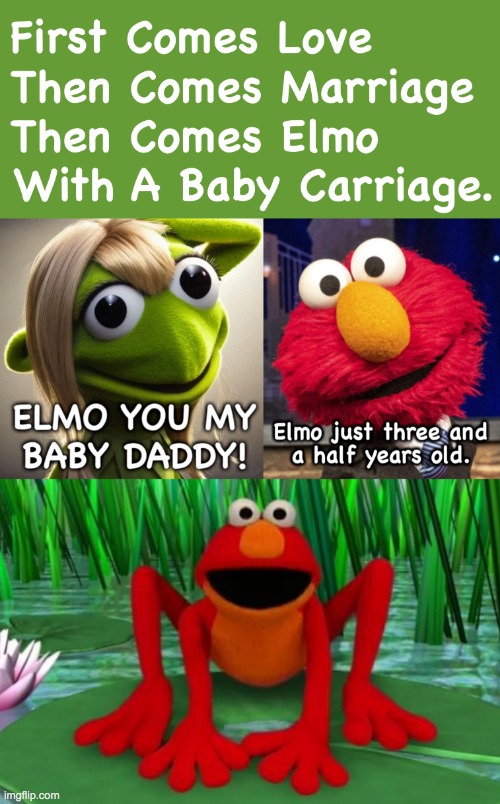 Elmo Leap Year Meme | image tagged in elmo leap year meme | made w/ Imgflip meme maker
