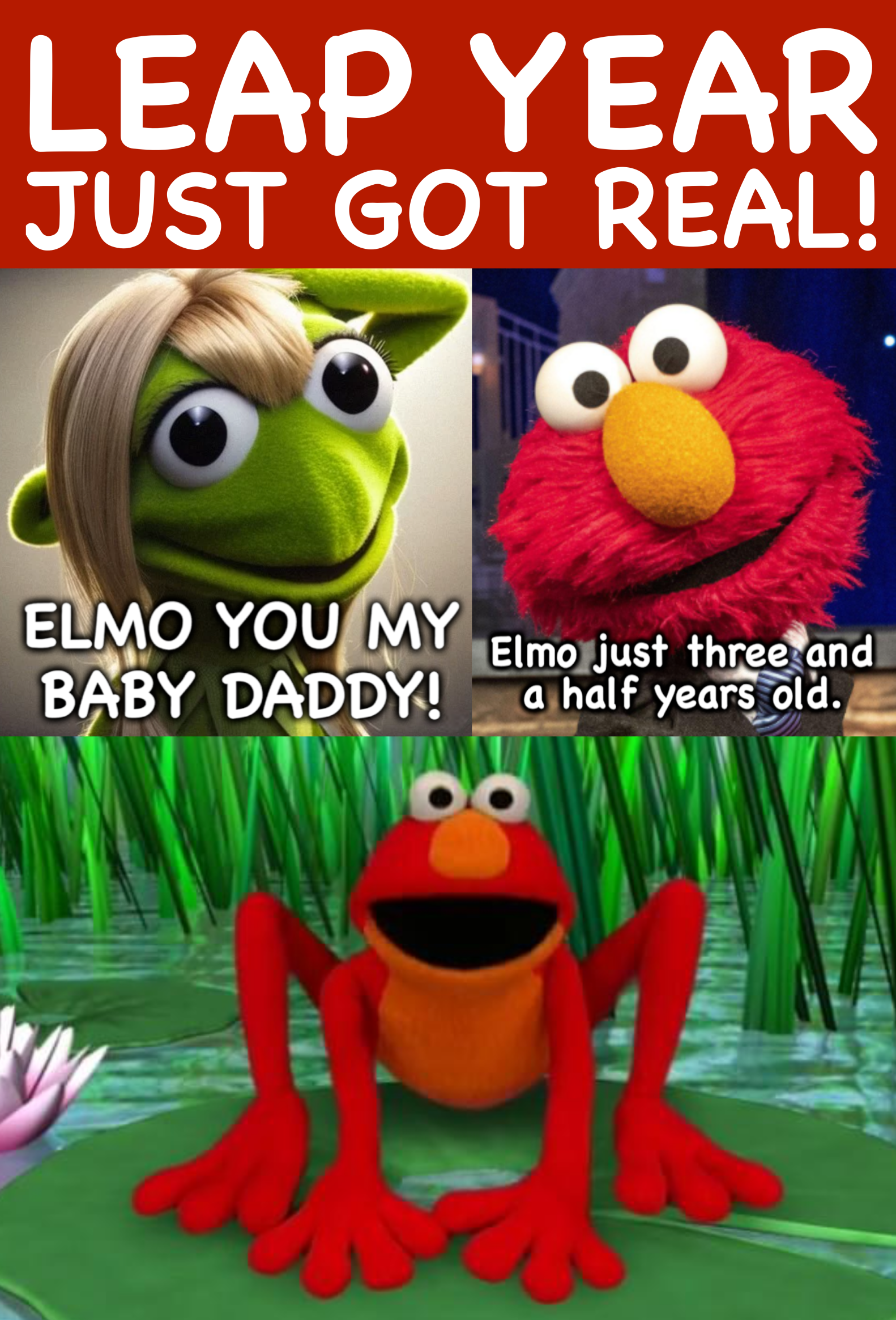 Elmo Leap Year Meme Blank Meme Template