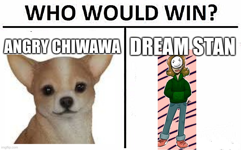 Who Would Win? Meme | ANGRY CHIWAWA; DREAM STAN | image tagged in memes,who would win | made w/ Imgflip meme maker