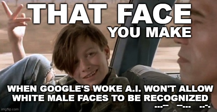 Google's Woke A.i. | THAT FACE; YOU MAKE; WHEN GOOGLE'S WOKE A.I. WON'T ALLOW
WHITE MALE FACES TO BE RECOGNIZED; ...--   --...   ..-. | image tagged in google,ai,woke,terminator,skynet,bs | made w/ Imgflip meme maker