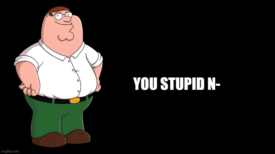 Peter Griffin explains | YOU STUPID N- | image tagged in peter griffin explains | made w/ Imgflip meme maker