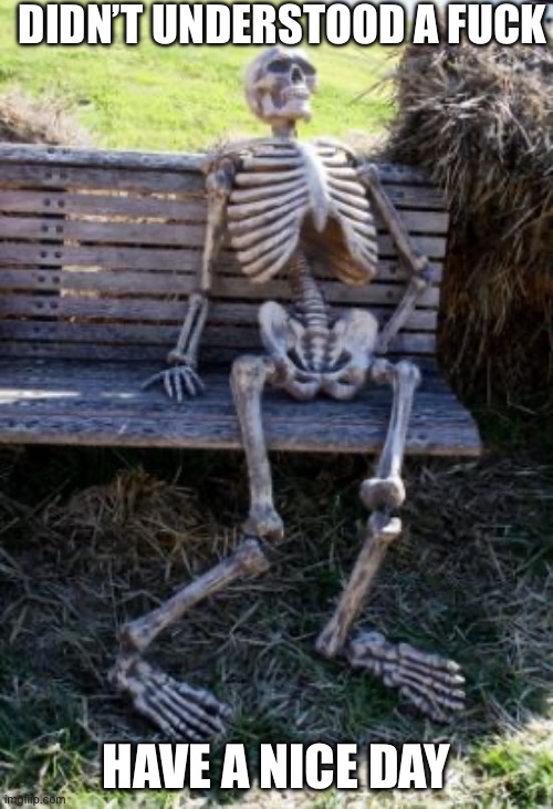 skeleton on bench | DIDN’T UNDERSTOOD A FUCK HAVE A NICE DAY | image tagged in skeleton on bench | made w/ Imgflip meme maker
