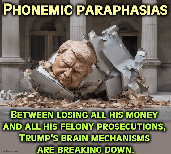 Phonemic paraphasias; Between losing all his money 
and all his felony prosecutions, 

Trump's brain mechanisms 
are breaking down. | image tagged in phonemic paraphasias,trump,mental illness,breakdown | made w/ Imgflip meme maker