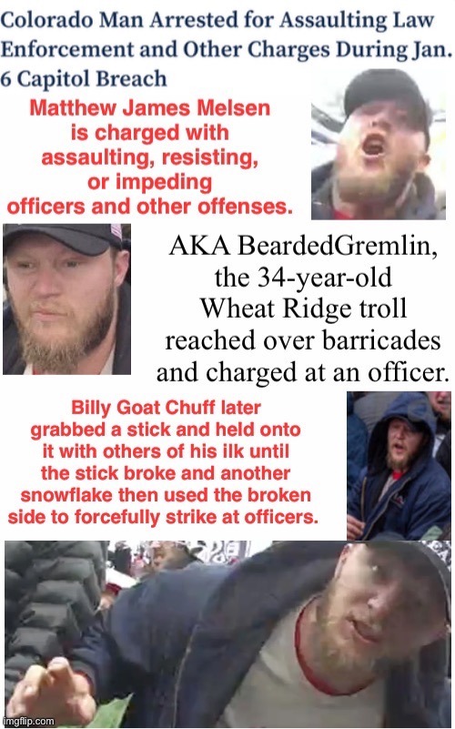 A Bearded Gremlin Arrested | image tagged in assault,tread loudly and carry a broken stick,tuff underpass dweller when in a crowd,life loser thought he'd be a cabinet member | made w/ Imgflip meme maker