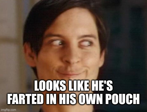 Spiderman Peter Parker Meme | LOOKS LIKE HE'S FARTED IN HIS OWN POUCH | image tagged in memes,spiderman peter parker | made w/ Imgflip meme maker