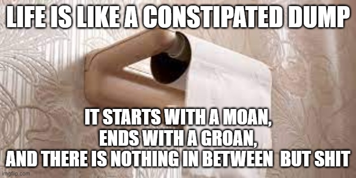 Pessimist | LIFE IS LIKE A CONSTIPATED DUMP; IT STARTS WITH A MOAN, ENDS WITH A GROAN,
AND THERE IS NOTHING IN BETWEEN  BUT SHIT | image tagged in life | made w/ Imgflip meme maker