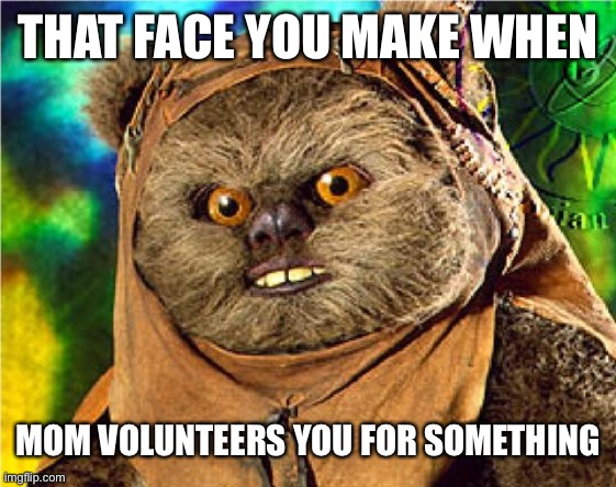 Angry Ewok | THAT FACE YOU MAKE WHEN; MOM VOLUNTEERS YOU FOR SOMETHING | image tagged in angry ewok | made w/ Imgflip meme maker