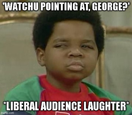 What you talking about Willis | 'WATCHU POINTING AT, GEORGE?' *LIBERAL AUDIENCE LAUGHTER* | image tagged in what you talking about willis | made w/ Imgflip meme maker
