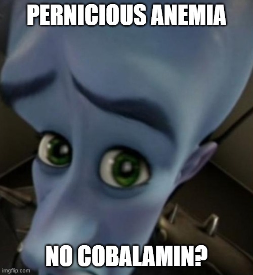 Megamind no bitches | PERNICIOUS ANEMIA; NO COBALAMIN? | image tagged in megamind no bitches | made w/ Imgflip meme maker