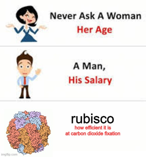 photosynthesis memes are hip and cool right | rubisco; how efficient it is at carbon dioxide fixation | image tagged in never ask a woman her age,biology,photosynthesis,plants,chemistry,science | made w/ Imgflip meme maker