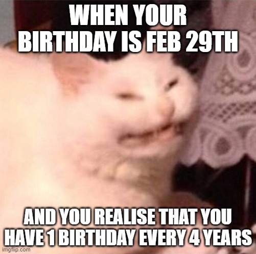 leap birthday | WHEN YOUR BIRTHDAY IS FEB 29TH; AND YOU REALISE THAT YOU HAVE 1 BIRTHDAY EVERY 4 YEARS | image tagged in cat laughing | made w/ Imgflip meme maker