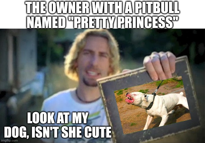 "Dog put down for killing 5 year old girl" | THE OWNER WITH A PITBULL NAMED "PRETTY PRINCESS"; LOOK AT MY DOG, ISN'T SHE CUTE | image tagged in look at this photograph | made w/ Imgflip meme maker