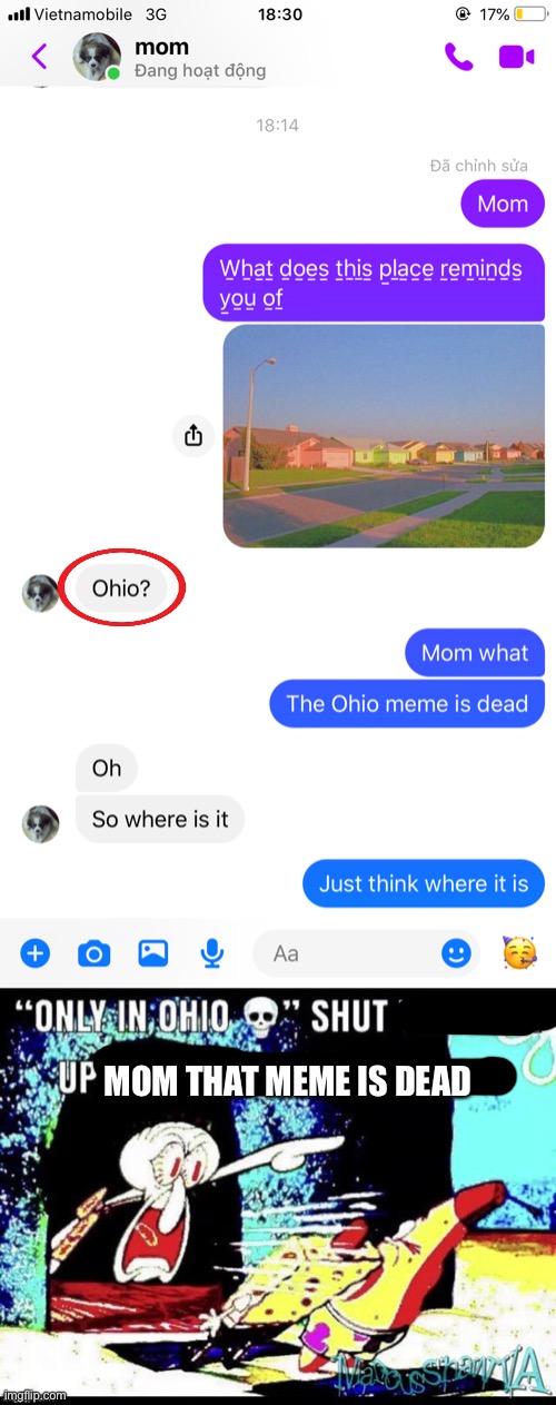 MOM THAT MEME IS DEAD | image tagged in only in ohio shut up you 9 year old | made w/ Imgflip meme maker