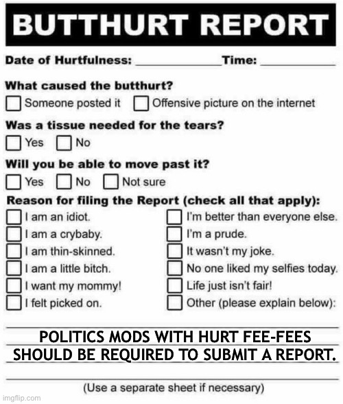 Butthurt Report | POLITICS MODS WITH HURT FEE-FEES SHOULD BE REQUIRED TO SUBMIT A REPORT. | image tagged in butthurt report | made w/ Imgflip meme maker
