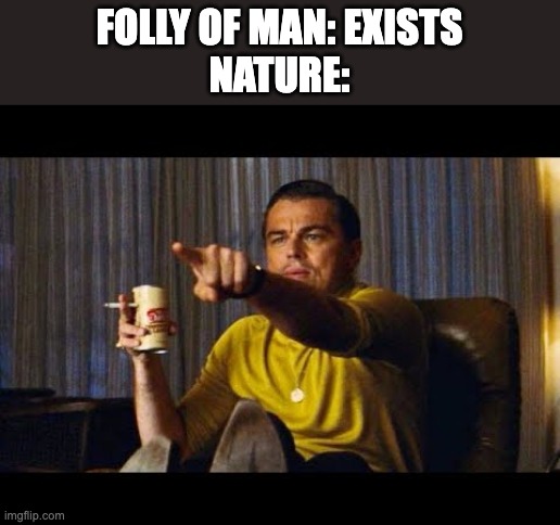 Leonardo Dicaprio pointing | FOLLY OF MAN: EXISTS
NATURE: | image tagged in leonardo dicaprio pointing,godzilla | made w/ Imgflip meme maker