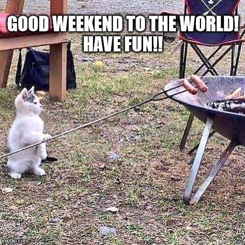 good weekend | GOOD WEEKEND TO THE WORLD!
HAVE FUN!! | image tagged in cat weekend,weekend,barbecue,have fun,good day,cats | made w/ Imgflip meme maker