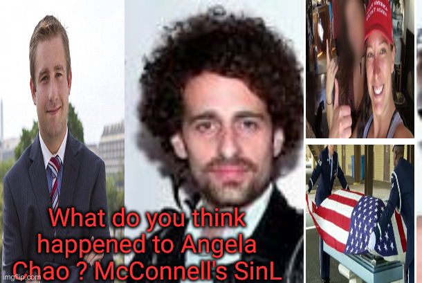 Vince Foster | What do you think happened to Angela Chao ? McConnell's SinL | image tagged in isaac kappy | made w/ Imgflip meme maker