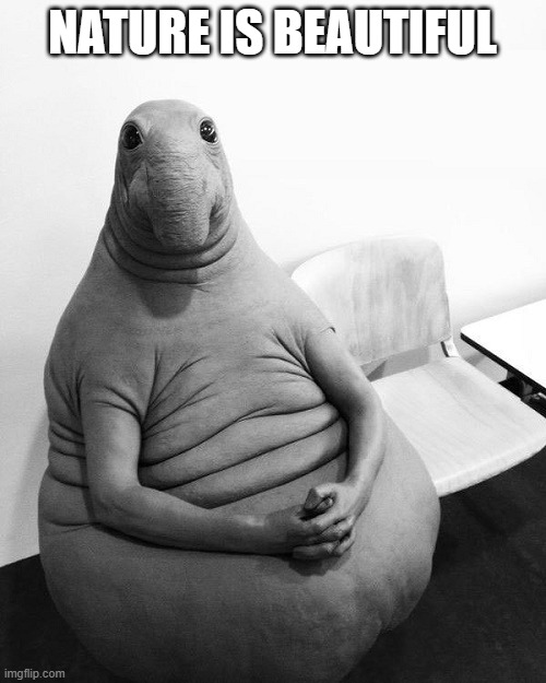 Homunculus loxodontus | NATURE IS BEAUTIFUL | image tagged in homunculus loxodontus | made w/ Imgflip meme maker