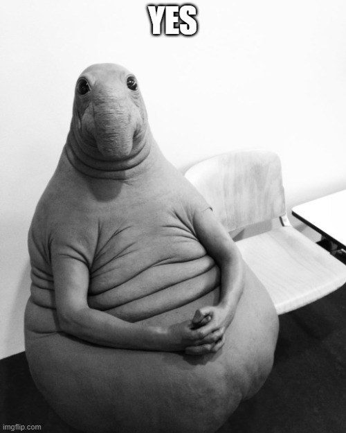 zhdun | YES | image tagged in zhdun | made w/ Imgflip meme maker