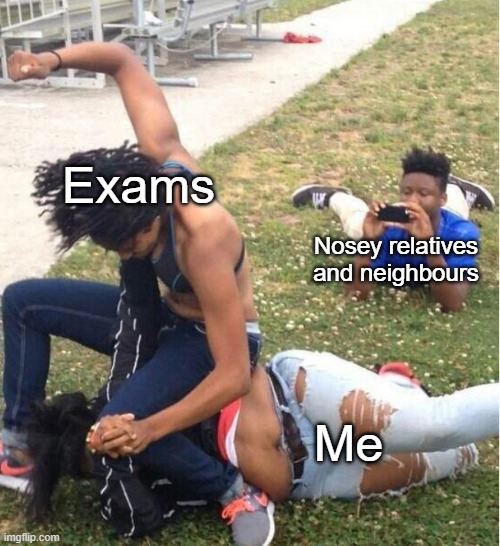 Exam Season | Exams; Nosey relatives and neighbours; Me | image tagged in guy recording a fight | made w/ Imgflip meme maker