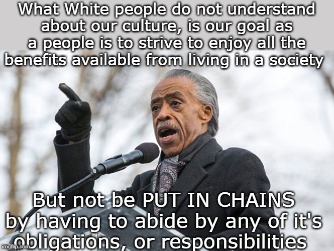 WORD   According to Al | What White people do not understand about our culture, is our goal as a people is to strive to enjoy all the benefits available from living in a society; But not be PUT IN CHAINS by having to abide by any of it's obligations, or responsibilities | image tagged in al sharpton view on taxes and rule of law meme | made w/ Imgflip meme maker