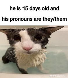 *their, respect ther pronousn!!! | made w/ Imgflip meme maker