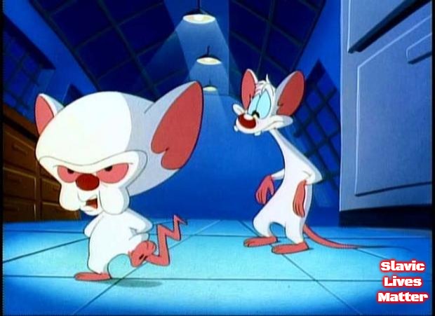 pinky and the brain monday | Slavic Lives Matter | image tagged in pinky and the brain monday,slavic | made w/ Imgflip meme maker