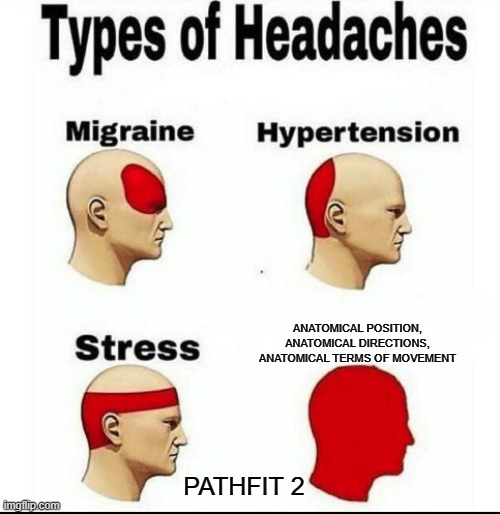 Types of Headaches meme | ANATOMICAL POSITION, ANATOMICAL DIRECTIONS, ANATOMICAL TERMS OF MOVEMENT; PATHFIT 2 | image tagged in types of headaches meme | made w/ Imgflip meme maker