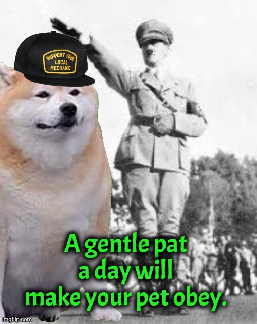Who's your good local mechanic boy who built gas chambers? | A gentle pat a day will make your pet obey. | image tagged in hitler salut,doge,dogs,dark humor | made w/ Imgflip meme maker