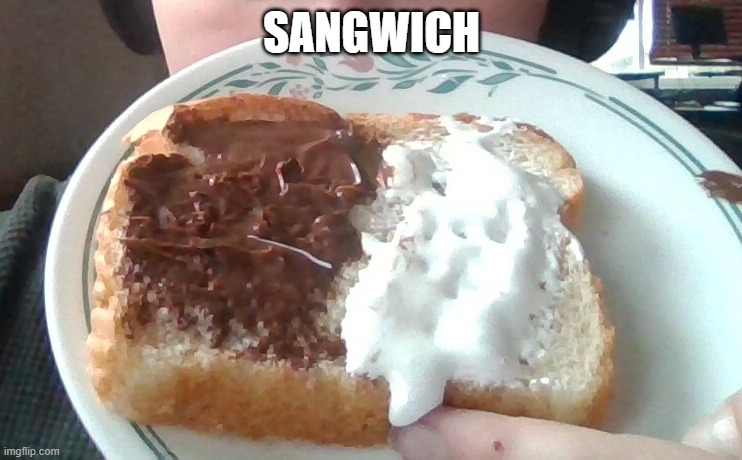 I almost broke my laptop trying to do this (that wasn't fun when i cleaned off the nutella n marshmallow fluff | SANGWICH | made w/ Imgflip meme maker