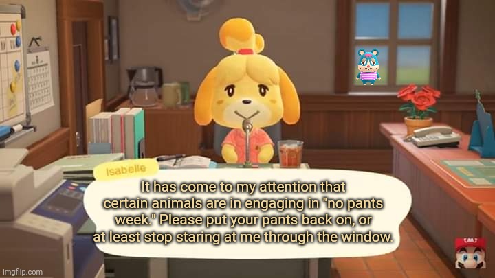 Isabelle Animal Crossing Announcement | It has come to my attention that certain animals are in engaging in "no pants week." Please put your pants back on, or at least stop staring at me through the window. | image tagged in isabelle animal crossing announcement,put,your pants,back,on | made w/ Imgflip meme maker
