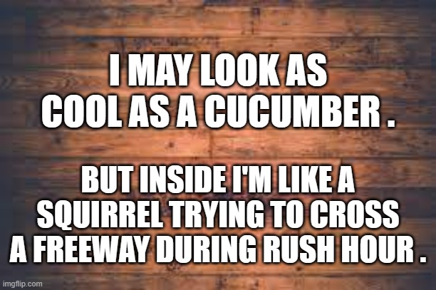 memes by Brad I'm cool as a cucumber humor | I MAY LOOK AS COOL AS A CUCUMBER . BUT INSIDE I'M LIKE A SQUIRREL TRYING TO CROSS A FREEWAY DURING RUSH HOUR . | image tagged in fun,funny,funny meme,squirrel,humor | made w/ Imgflip meme maker