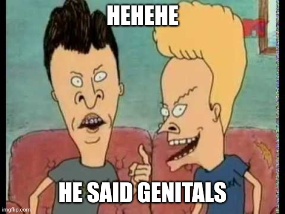 Beavis & Butt-Head he said | HEHEHE; HE SAID GENITALS | image tagged in beavis butt-head he said | made w/ Imgflip meme maker